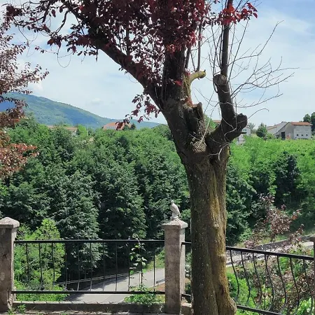 La Veranda Vakantiehuis *